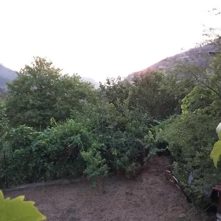 Kazaview Holiday home *